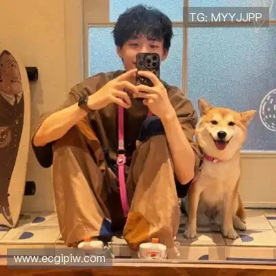 赵鸽